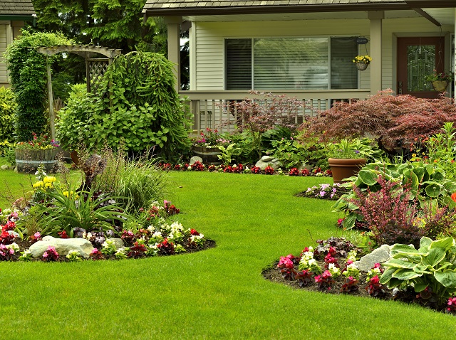 Custom/ Horticultural Plant Design, Plant Schedul